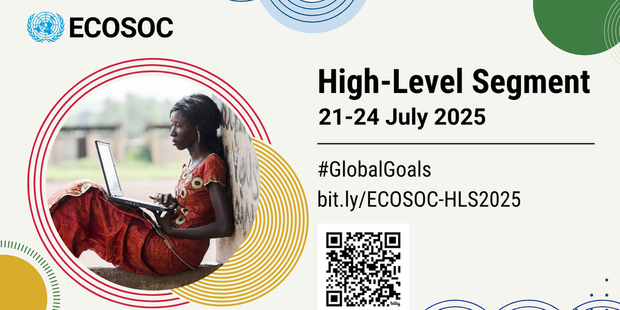ECOSOC.png