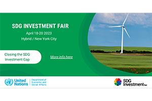 SDG Investment Fair copy.jpg